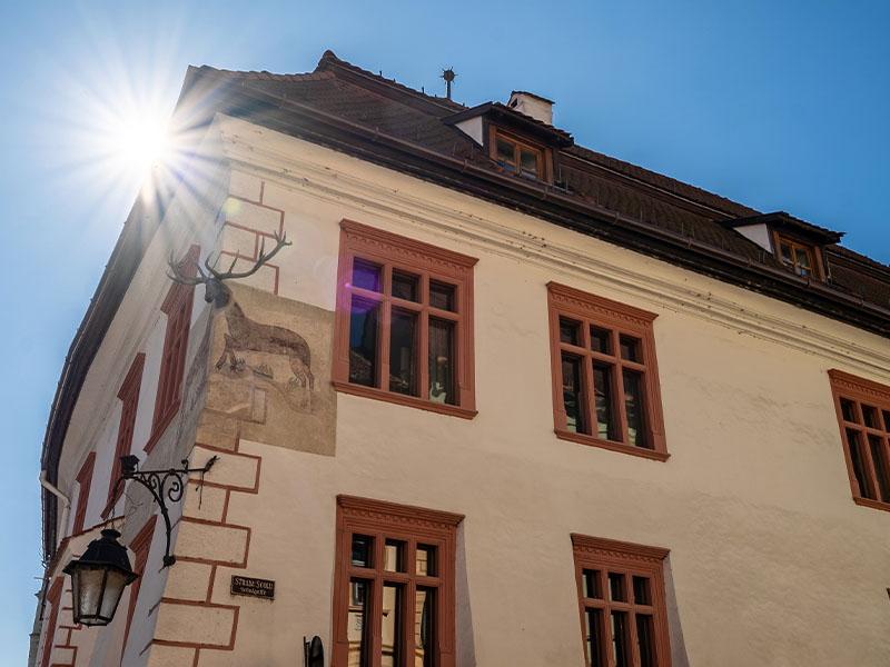 The House with the Deer Antler